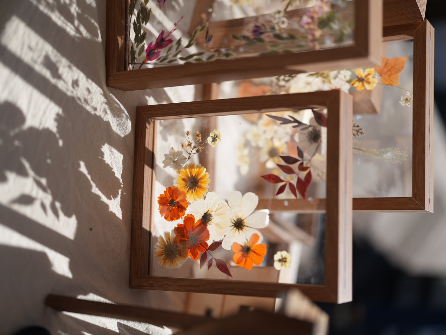 Detail of a pressed flower frame with orange and white flowers